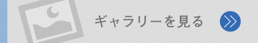 ギャラリーを見る